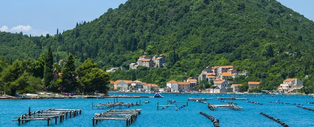 Vila Ruza Ston Bagian luar foto